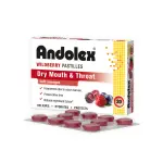 Andolex‑C Wildberry Pastilles 20s | Soothing Lozenges for Sore Throat Relief