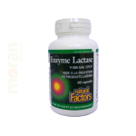 LACTASE ENZYME CAPS 60S